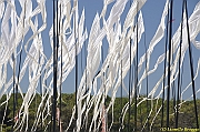 32 FESTIVAL CERVIA 2012 - 038
